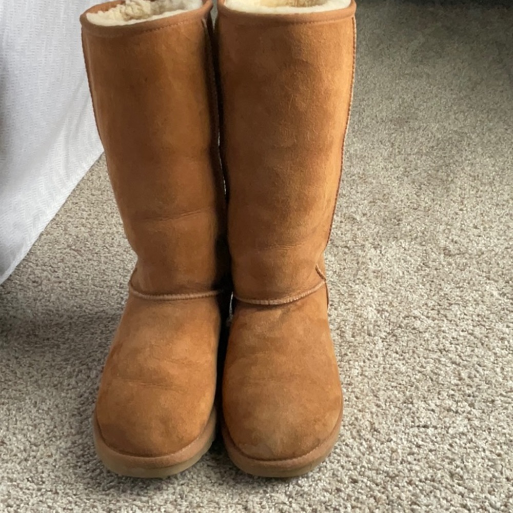 Ugg brand - tall shearling boots